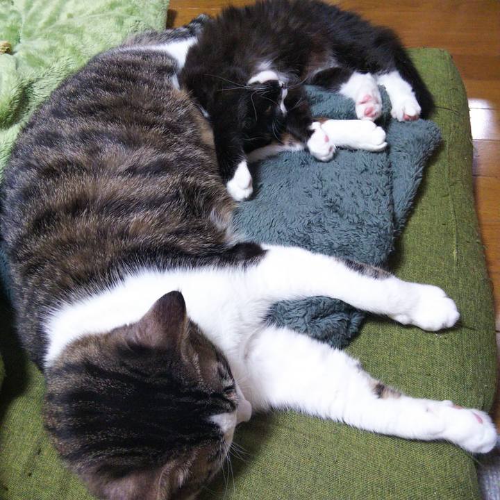 6b4e58c3 2a4a 4003 a36c 30085d20f622 1640849932153