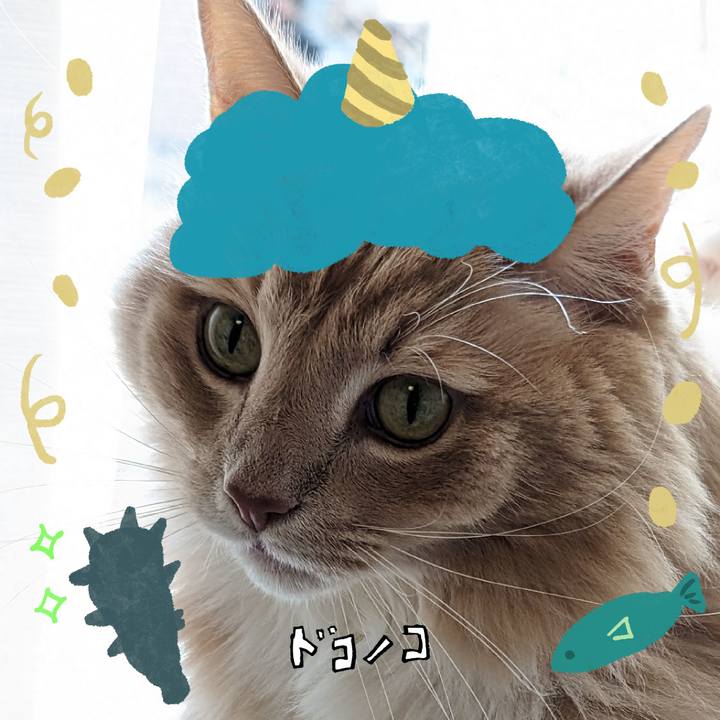 6b4e7e45 3f5d 45c2 9c68 6df96d383bc9 1706804836433