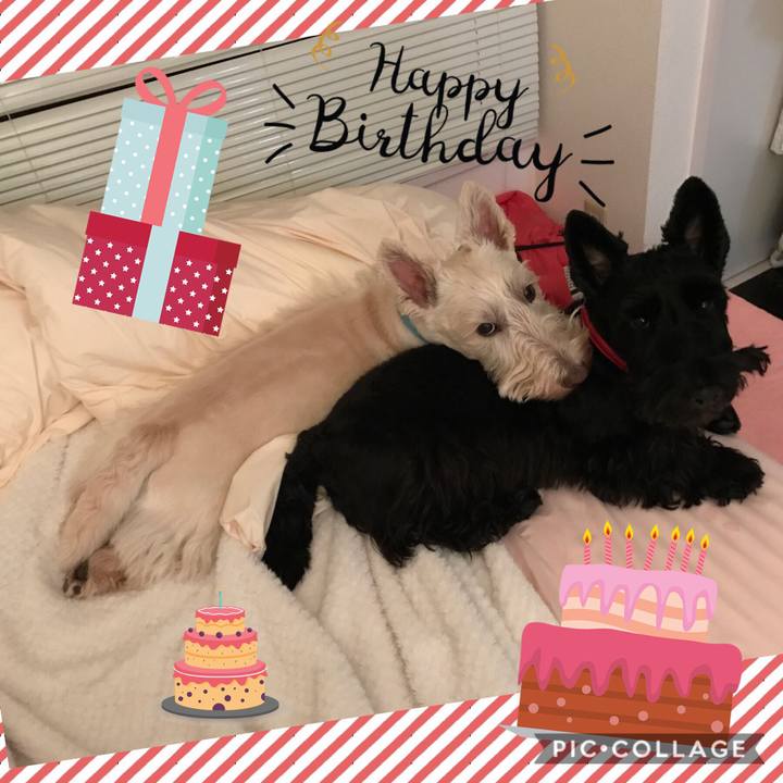 6b4e862d 8960 4fb7 8d49 81ae6bc81b5d 1542237602306