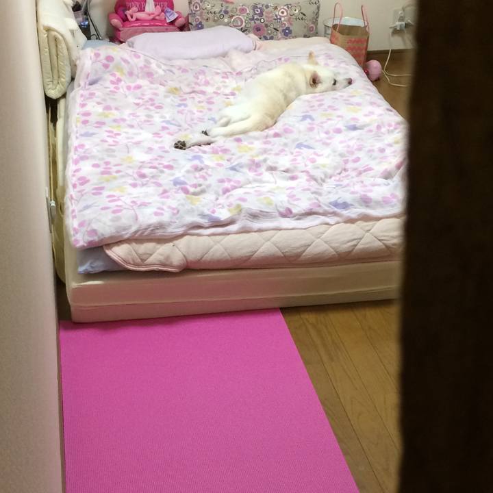 6b4ea3be 8dbb 40ac bc3d af5799cc24da 1536499864778