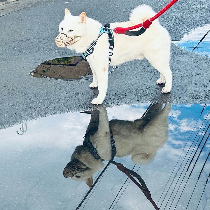 6b4eb05c 883b 4f50 8f06 96a6582e9fcc 1724371710428