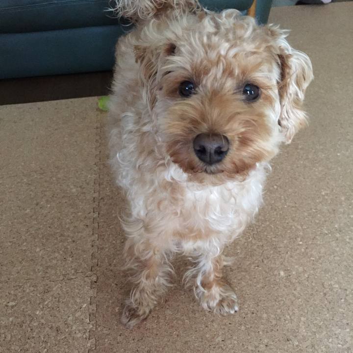 6b4ecff8 a827 4bca 8e3d 04d1688c9991 1522276994566