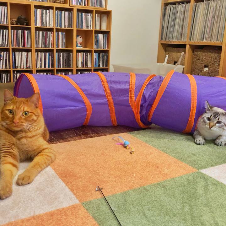 6b4edbe8 22ac 4504 b1ec 0d034b990162 1752994305069