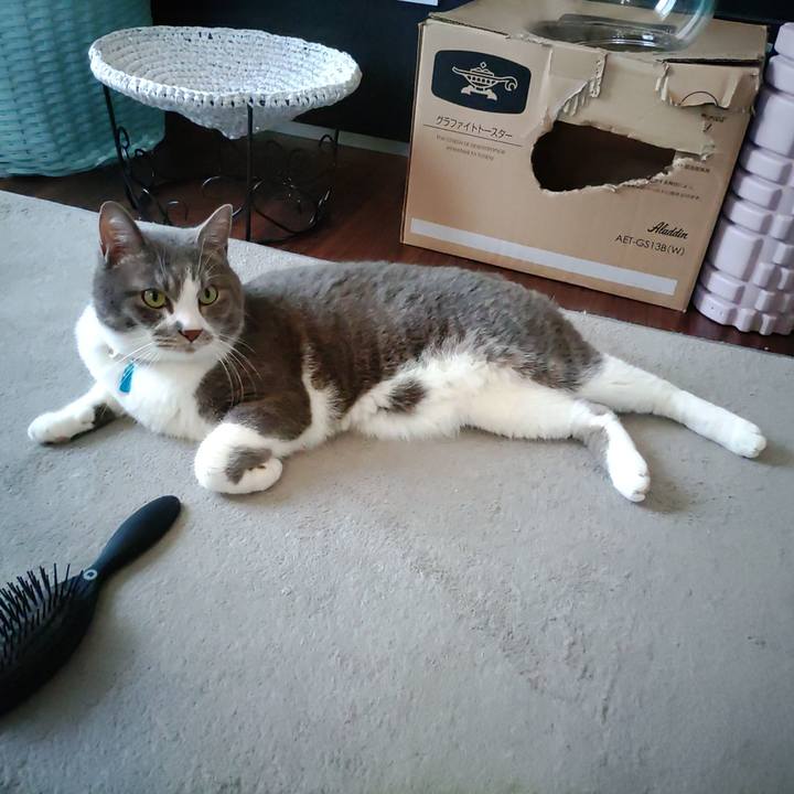 6b4ee1f7 be70 4504 a8f1 f72e42032f45 1717824924687