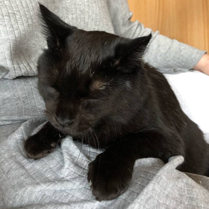 6b4ee235 8a32 466d 8779 9d4717a7a3d6 1590054005921