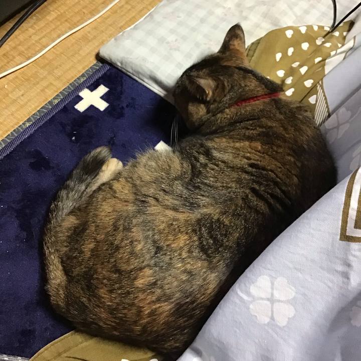 6b4eff21 5b23 462f 81cc 057be40de596 1708505305507