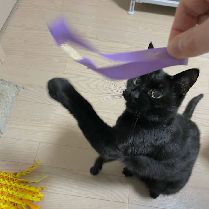 6b4f1257 8d2c 4f41 87a4 d99eae979706 1671716920631