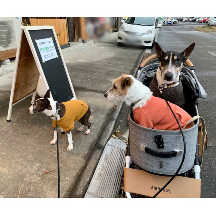 6b4f1721 8197 4164 b2f2 491303f2f3b6 1611490656840