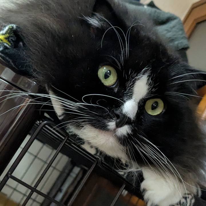 6b4f7aa4 86e9 4d7c b5a4 6ba498e632e8 1760529486593