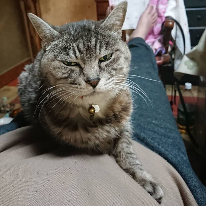 6b4f7d0d 4212 414c a97a 3f3a4fbefa74 1576061949201