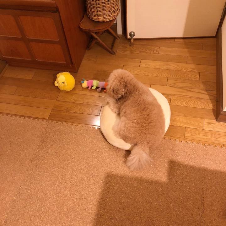 6b4f7f97 c822 4107 afc2 40615bf9ebd9 1509961536346