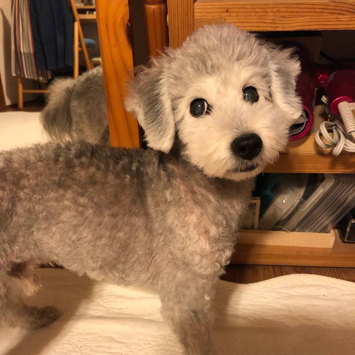 6b4f9200 99b1 4e94 b8a8 4090d3e648e7 1566299139815