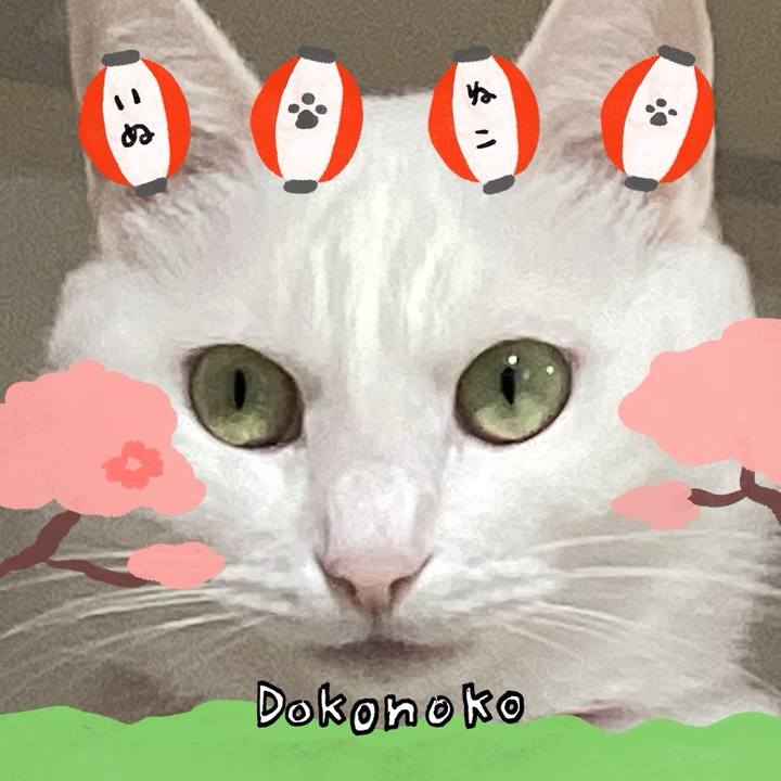 6b4fb04b 3e1d 4495 9f9f 30564e0d8a65 1712309926186