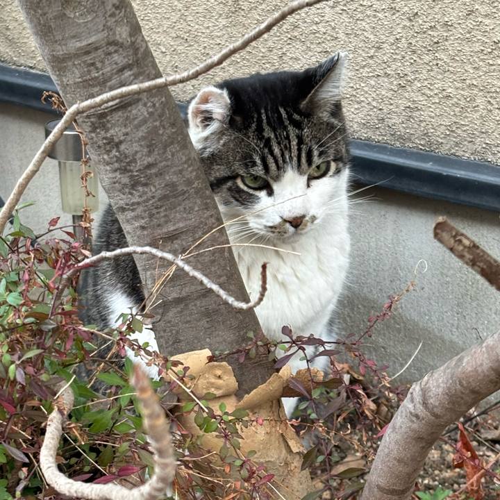 6b4fd4ab a674 4e65 b907 dcc62e595f5a 1768972661499