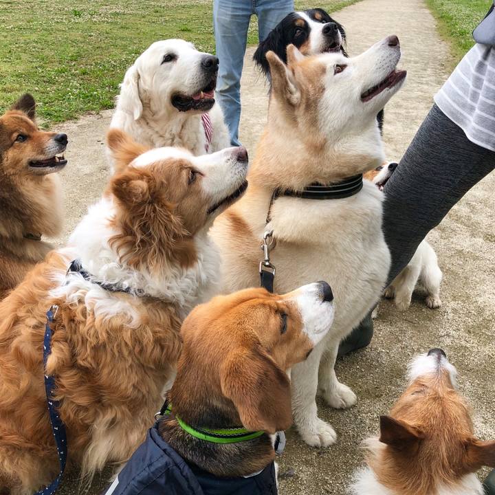 6b4fe04b d1ef 41e2 9e21 43be6d123ce9 1560088223715