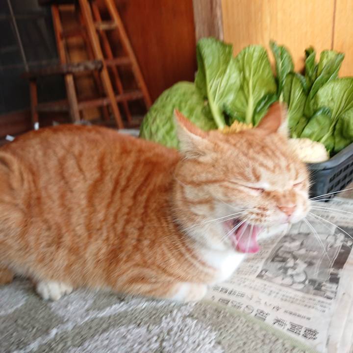 6b4ff07b b888 4ae8 ad93 2ee12fbf688e 1578810676830