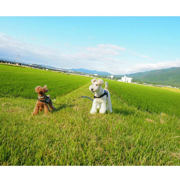 6b5040db 9e0f 4147 abcd 7321f0445b13 1529110420468