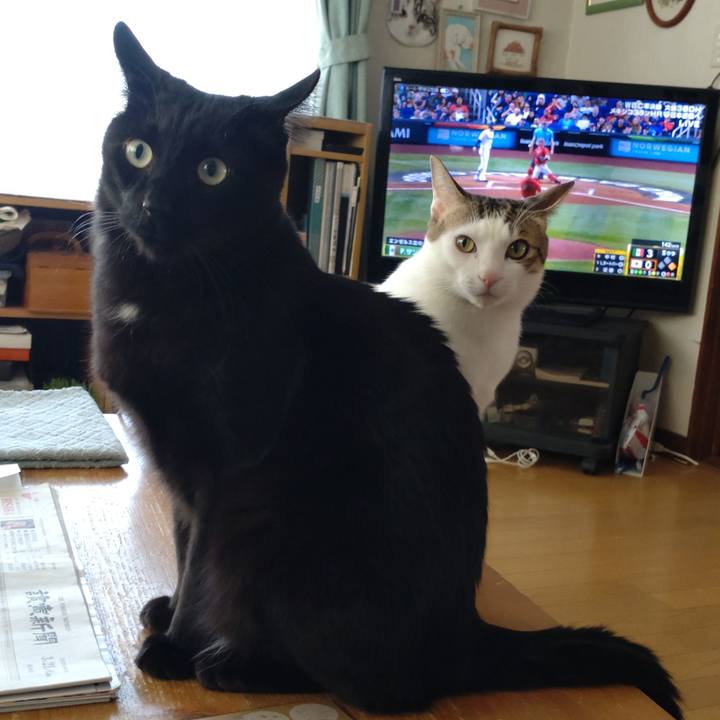 6b504e0d c417 46e0 916b 4ca5e2de7fcf 1679362257381