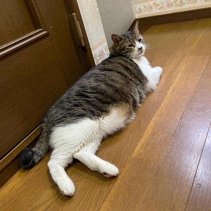 6b5067c7 e270 4b36 b4c3 5c98bf829902 1754606986896