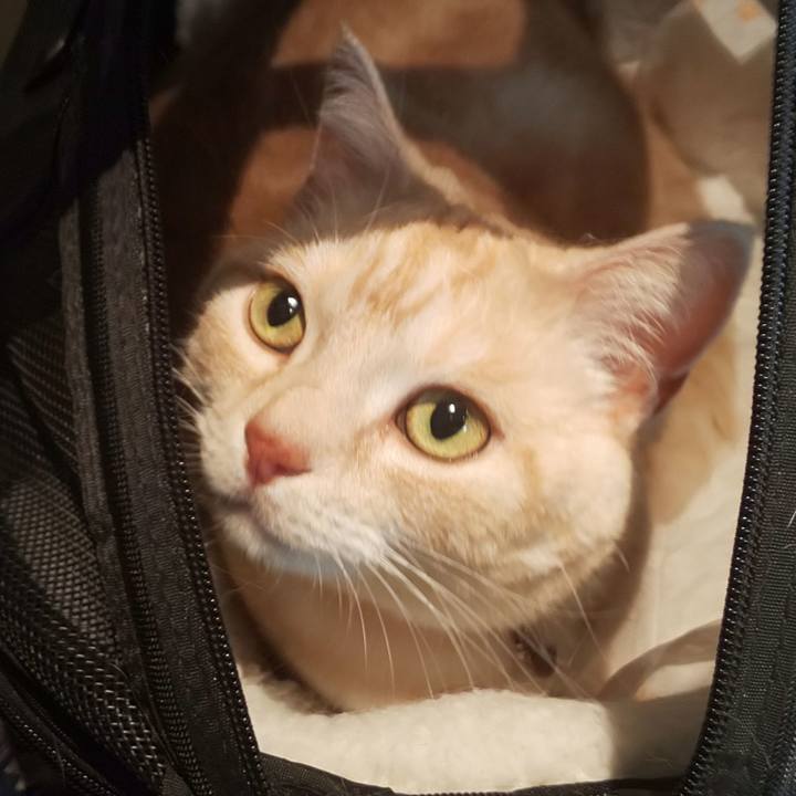 6b50a29f 70c1 4fca a705 f49a18b0e971 1557371507653