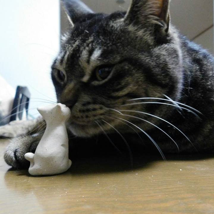 6b50ca86 f52c 40bc 8e67 fc757b534c4d 1556957566205