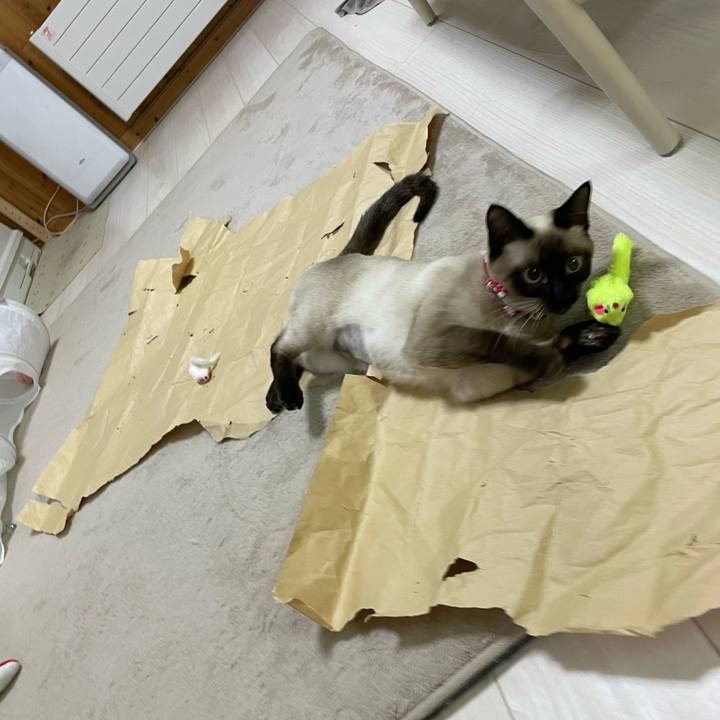 6b50da58 d851 4177 9173 b0a8d22bb7ff 1710359778948