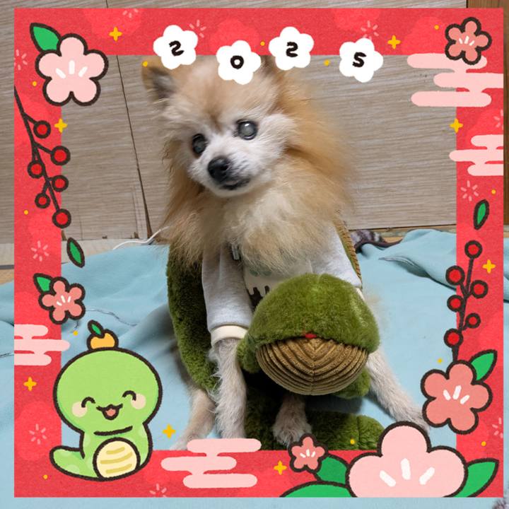 6b50de62 9d47 44d7 8c8a cf3acaa642ab 1735712729546