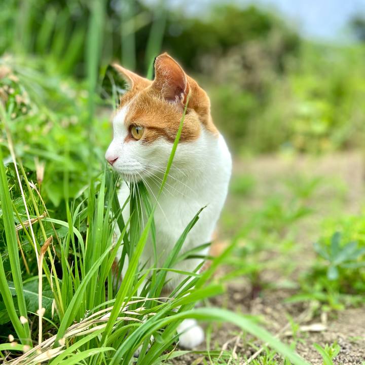 6b50fd22 57ab 4123 b049 4d9c7214b6e3 1592807183361