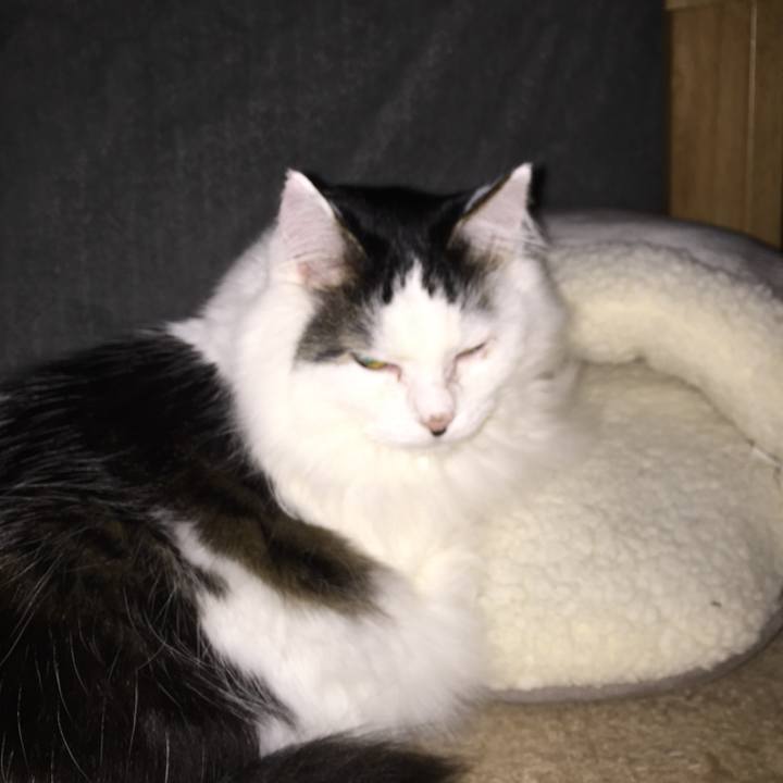 6b510bf9 cf5a 4537 912d b0ed8afed777 1515245028020