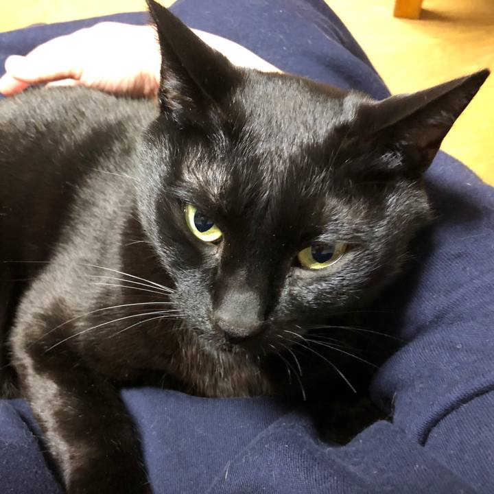 6b512314 e665 4bb6 b911 fcc8052b0d4d 1712055419522