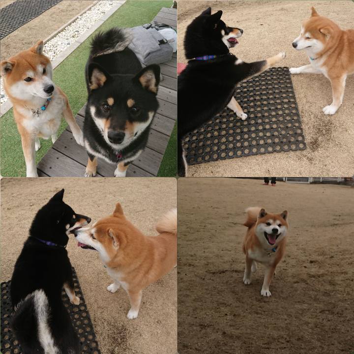 6b513be2 a1d2 4ed0 9c02 c0481ad2a900 1551034106317