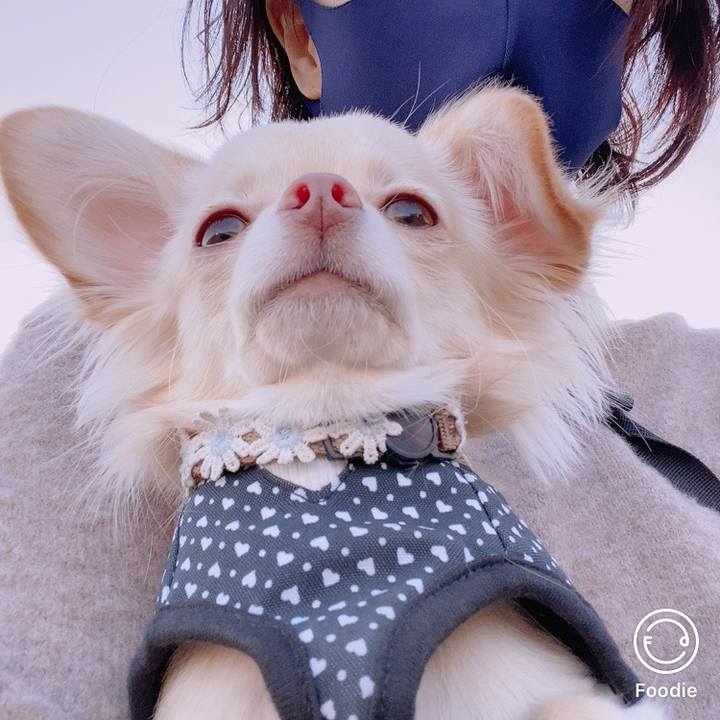 6b5172d7 dffd 4a1b 94b0 f6758aa9a8dc 1608721094041