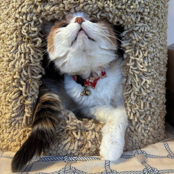 6b5175fb 1b3f 47e9 91f2 cf8bee2bc4da 1742094455814