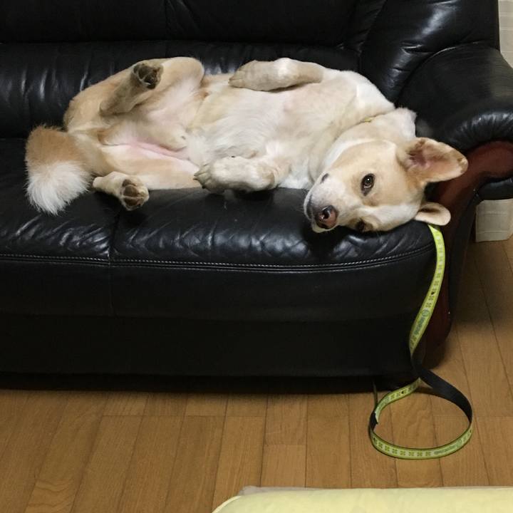 6b51ae8a 039d 410a bb6b b714c48199cb 1533612898676