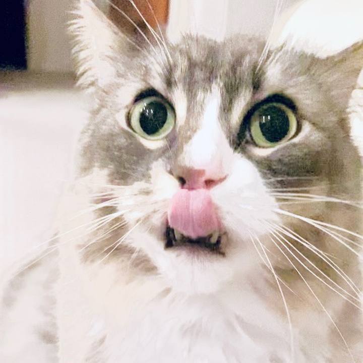 6b51d1b0 9f45 46e9 b5e0 e9b29dc0951f 1653845440006