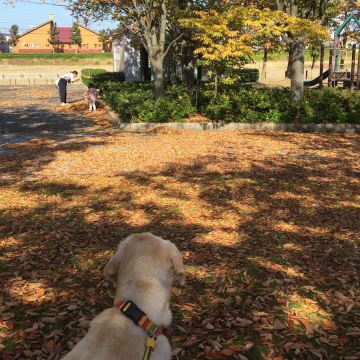 6b521850 1fda 4c81 a2d1 a33055f4c017 1510028647325