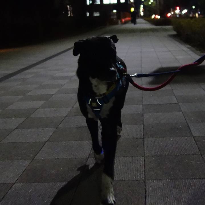 6b523cd7 9f09 4946 ae70 954f81c371ce 1611570443564