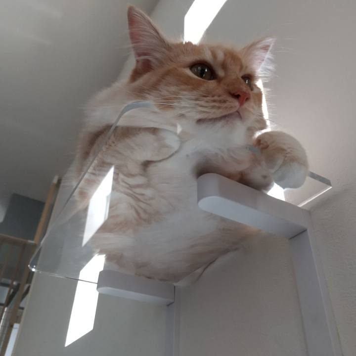 6b524725 76a6 497e ba33 43499052e18b 1624759883220