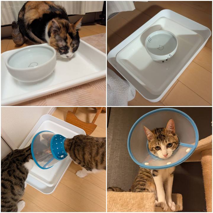 6b524a64 379e 4988 aa97 1a7a2910d827 1740024224807