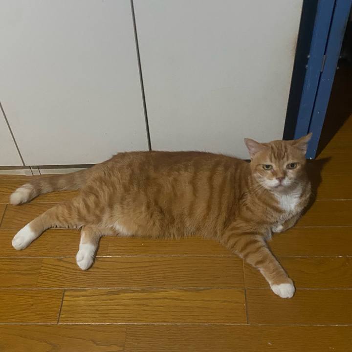 6b524bd5 7f7f 47e7 8194 e3775b25d935 1724235058123