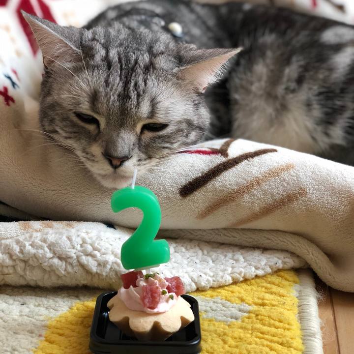 6b528486 c225 4ec1 8035 77ace126c8df 1512208531857