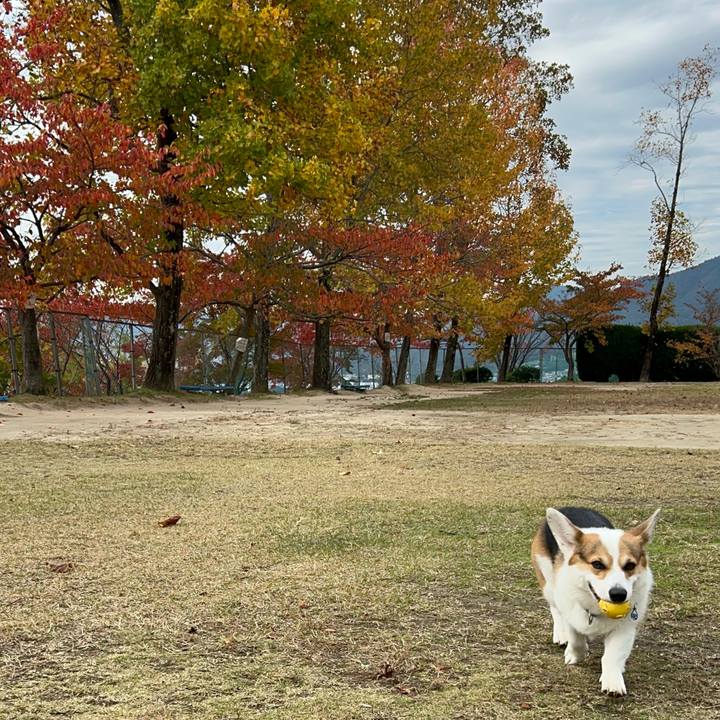 6b52a264 3f57 4f72 91c8 9fc13f0b8d17 1762870179416