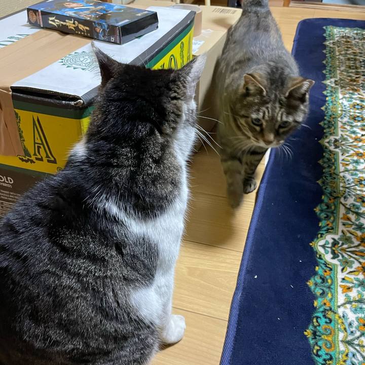 6b52a6c0 27eb 4576 bdfc 407e06a77947 1616933735799