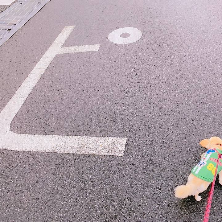 6b52b4e7 f686 4b54 884c 0b414fc88010 1629103496165