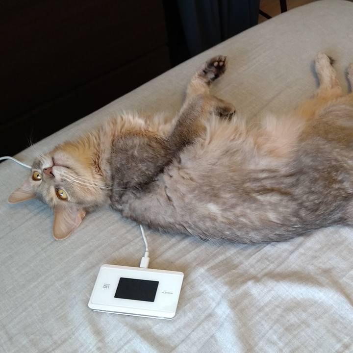 6b52c809 9276 4610 941a c4b06cc56bb3 1623971422658