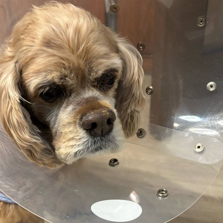 6b52d51f 28c3 4289 afe4 290feb292d21 1765545611966