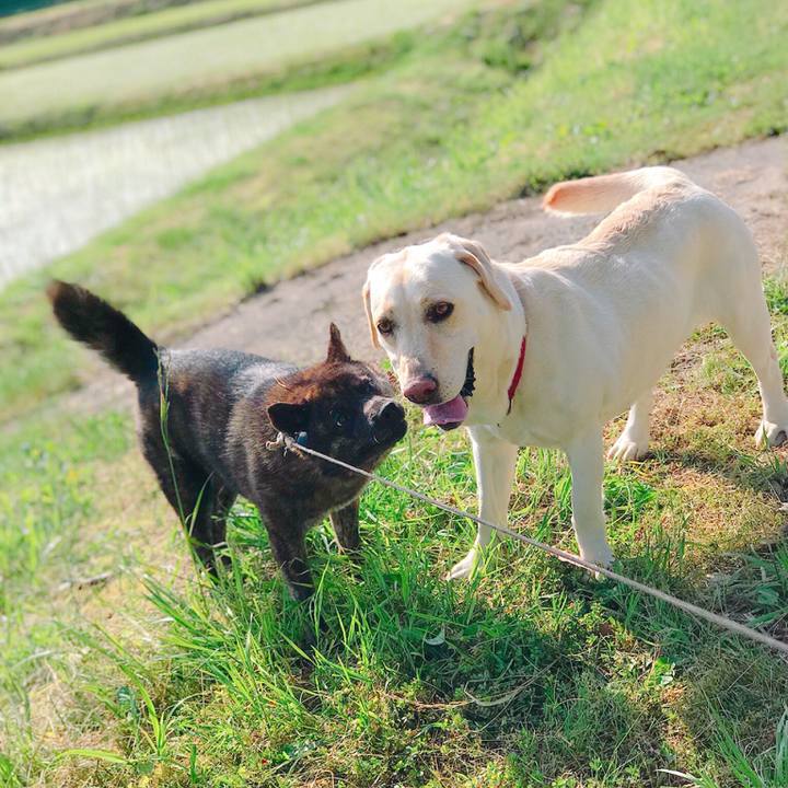 6b52da9e 5841 46d4 a9b9 2933d9614772 1527290503779