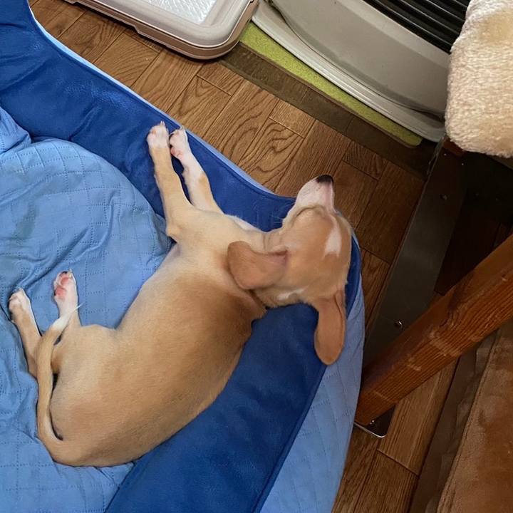 6b52e7c3 eb2a 4b87 ba22 4c9b6c98b283 1665199899466