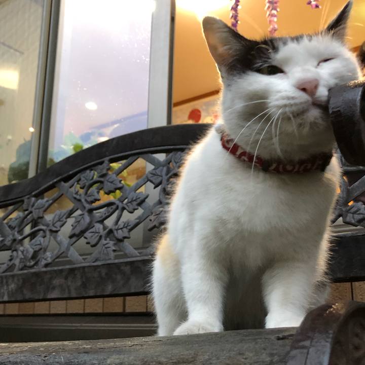 6b531336 e8e3 4364 bf75 baf59ebc50f7 1620817609874