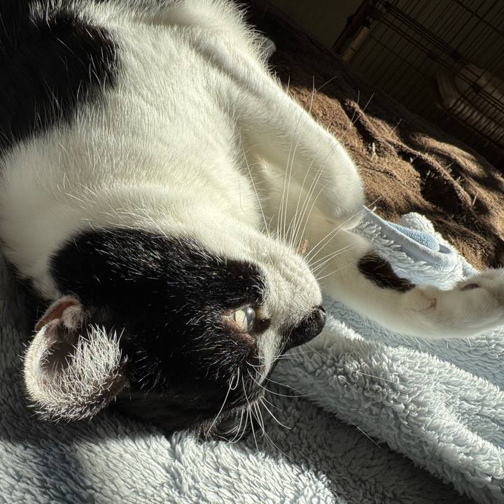 6b534d11 8afc 4e2f a12a b46201e1d0d1 1767500198760